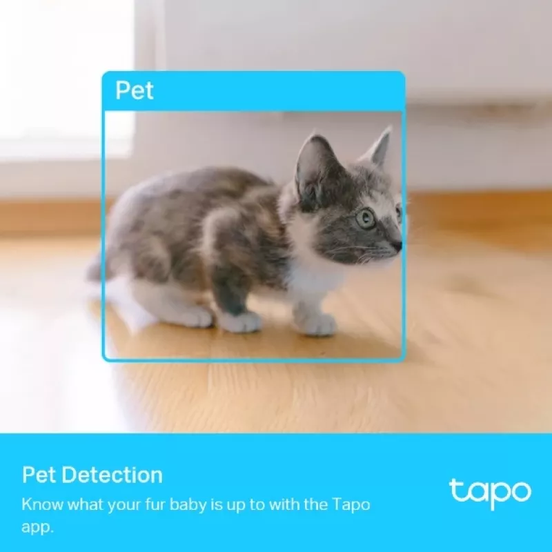 IP stebėjimo kamera TP-Link Tapo C225 Standard