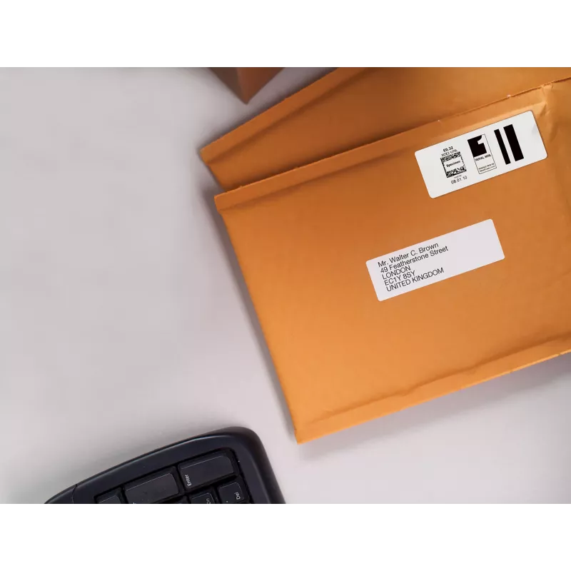 Autentiškos DYMO LabelWriter didelės adresų etiketės | 36 mm x 89 mm | Lipnios | 2 rulonai po 260 (520 lengvai nulupamos etiketės) | skirtos LabelWriter etikečių spausdintuvams | Pagaminta Europoje