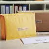 DYMO Authentic LabelWriter didelių adresų etikečių | 36 mm x 89 mm | Juodas spausdinimas ant skaidrių etikečių | 2 rulonai po 130 (260 lengvai nulupamų etikečių) | Lipnios | skirtos LabelWriter etikečių gamintojams