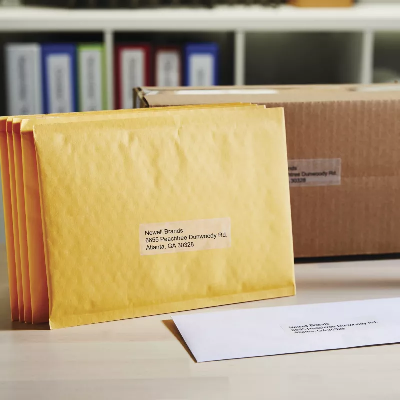 DYMO Authentic LabelWriter didelių adresų etikečių | 36 mm x 89 mm | Juodas spausdinimas ant skaidrių etikečių | 2 rulonai po 130 (260 lengvai nulupamų etikečių) | Lipnios | skirtos LabelWriter etikečių gamintojams