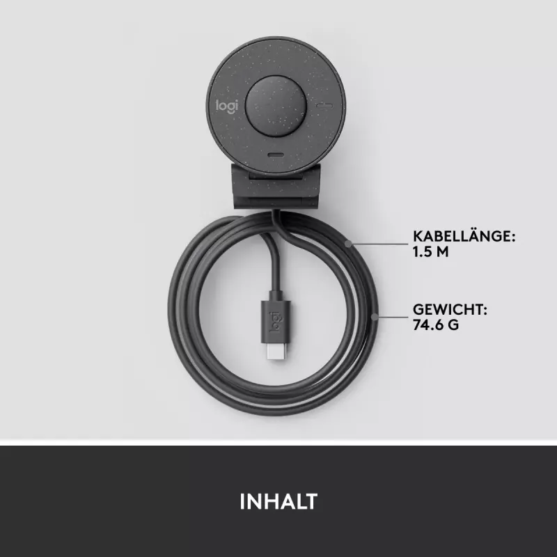 LOGITECH Brio 300 Full HD internetinė kamera - grafitas