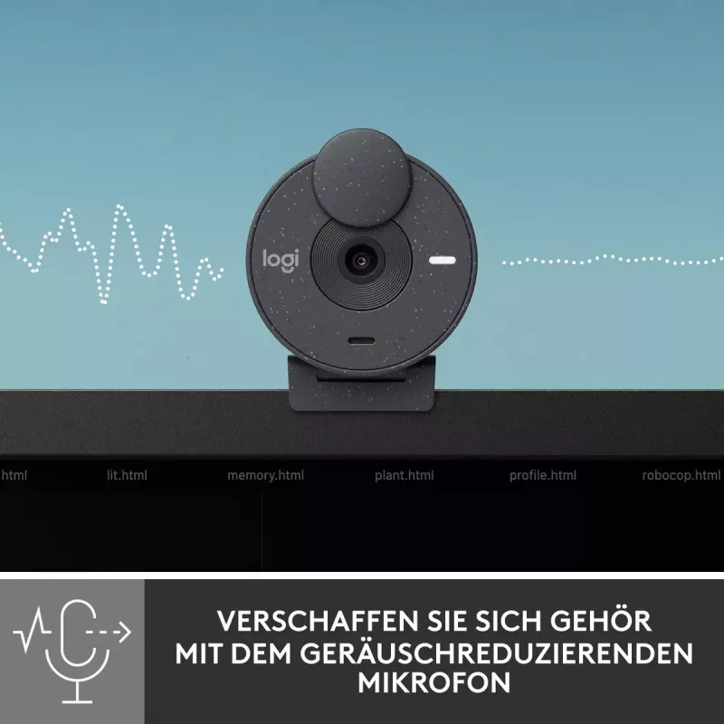 LOGITECH Brio 300 Full HD internetinė kamera - grafitas