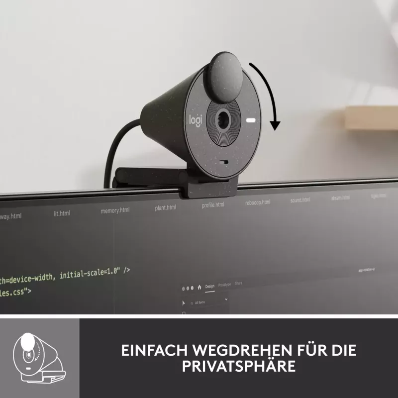LOGITECH Brio 300 Full HD internetinė kamera - grafitas