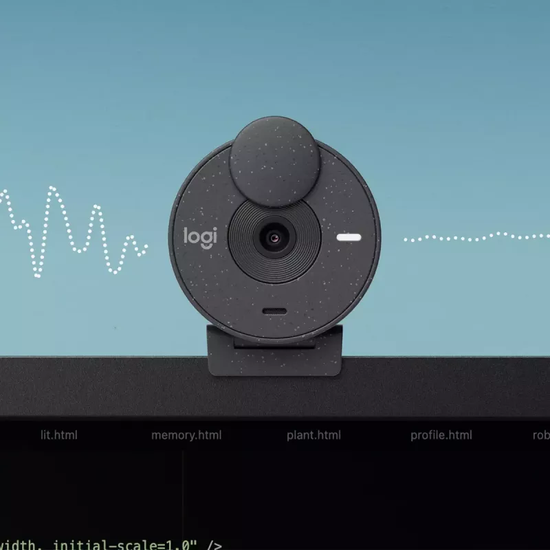 LOGITECH Brio 300 Full HD internetinė kamera - grafitas