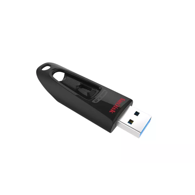 USB atmintinė SanDisk 64 GB USB Typee-A 3.2 Gen 1 SDCZ48-064G-U46