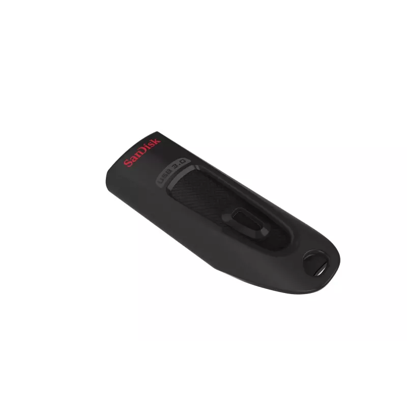 USB atmintukas SanDisk 256 GB USB Type-A 3.2 Gen 1 SDCZ48-256G-U46