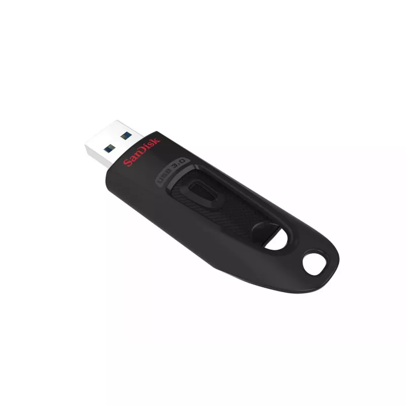 USB atmintukas SanDisk 256 GB USB Type-A 3.2 Gen 1 SDCZ48-256G-U46