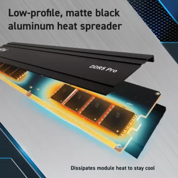 Atminties modulis Crucial Pro DDR5 48 GB 5600 MHz