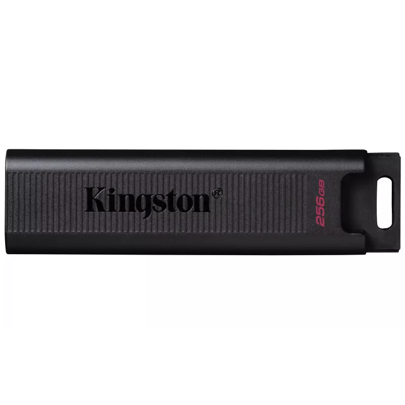 Kingston Technology DataTraveler 256GB Max 1000R/900W USB 3.2 Gen 2