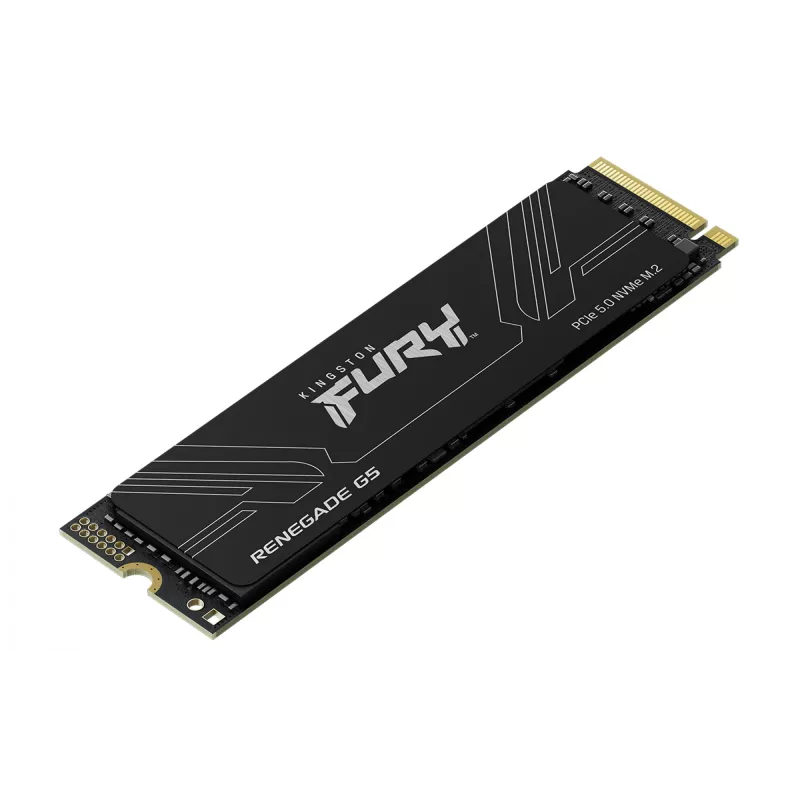 SSD diskas Kingston Technology 1T M.2 NVMe FURY RENEGADE G5