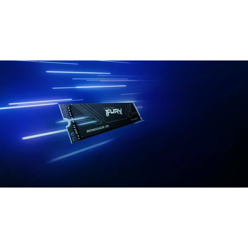 SSD diskas Kingston Technology 1T M.2 NVMe FURY RENEGADE G5