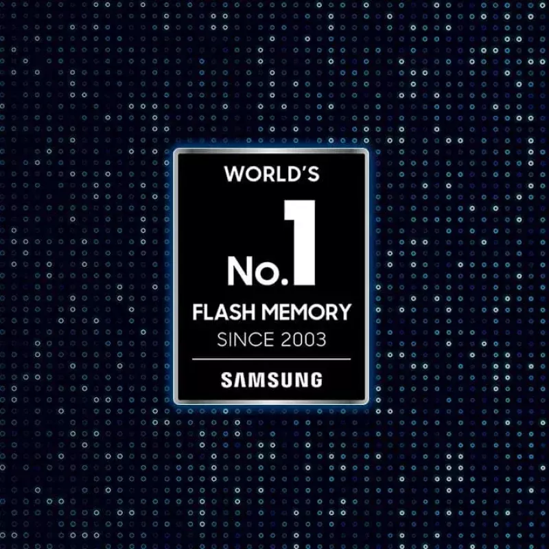Samsung MU-PE1T0S 1 TB USB Type-C 3.2 Gen 2 (3.1 Gen 2) Juoda