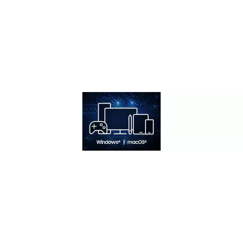 Samsung MU-PG4T0B 4 TB USB Type-C USB 3.2 Gen 2x2 Juoda