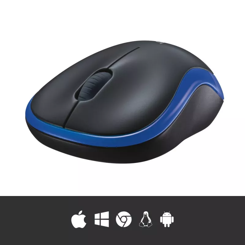 Pelė Logitech Wireless Mouse Blue 910-002239