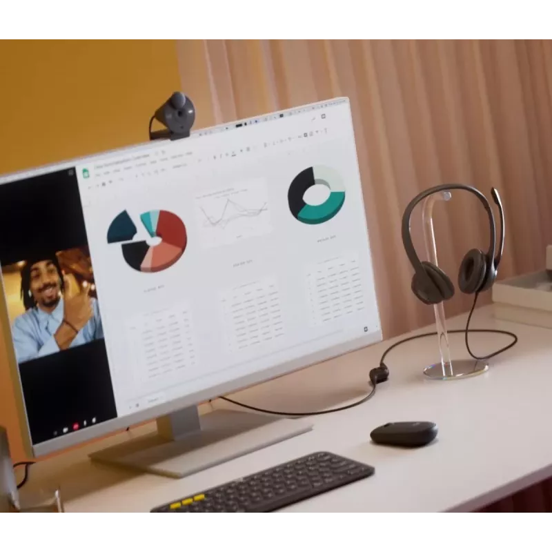 LOGITECH Ausinė - H390 - USB-A - juoda