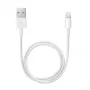 APPLE Lightning į USB kabelis (0.5 M)