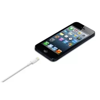 APPLE Lightning į USB kabelis (0.5 M)