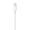 APPLE Lightning į USB kabelis (0.5 M)