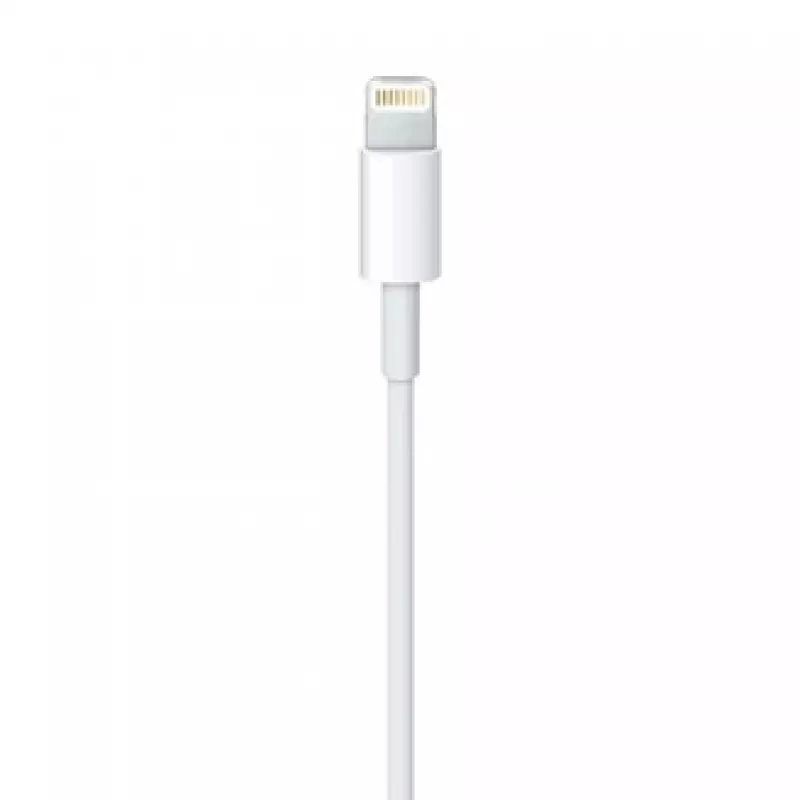 APPLE Lightning į USB kabelis (0.5 M)