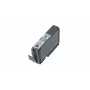 Canon PGI-9GY pilka rašalo kasetė, pilka, Pigmentinis rašalas, 1 vnt., 145 puslapių