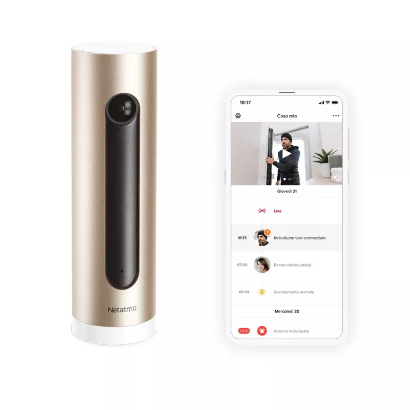 Netatmo Welcome IP apsaugos kamera Vidaus 1920 x 1080 pikselių Stalas
