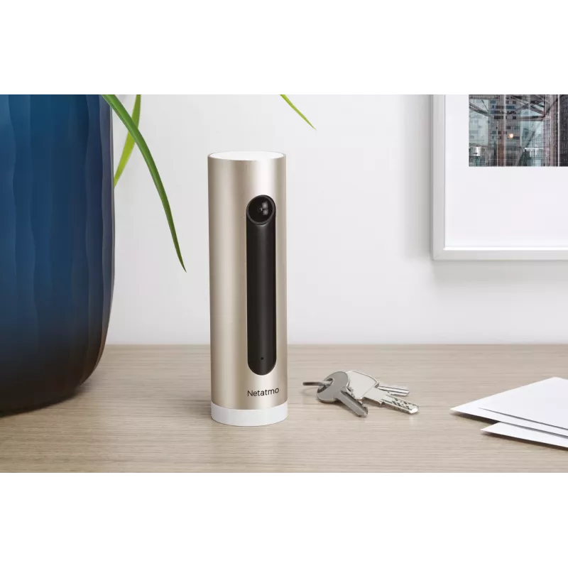Netatmo Welcome IP apsaugos kamera Vidaus 1920 x 1080 pikselių Stalas