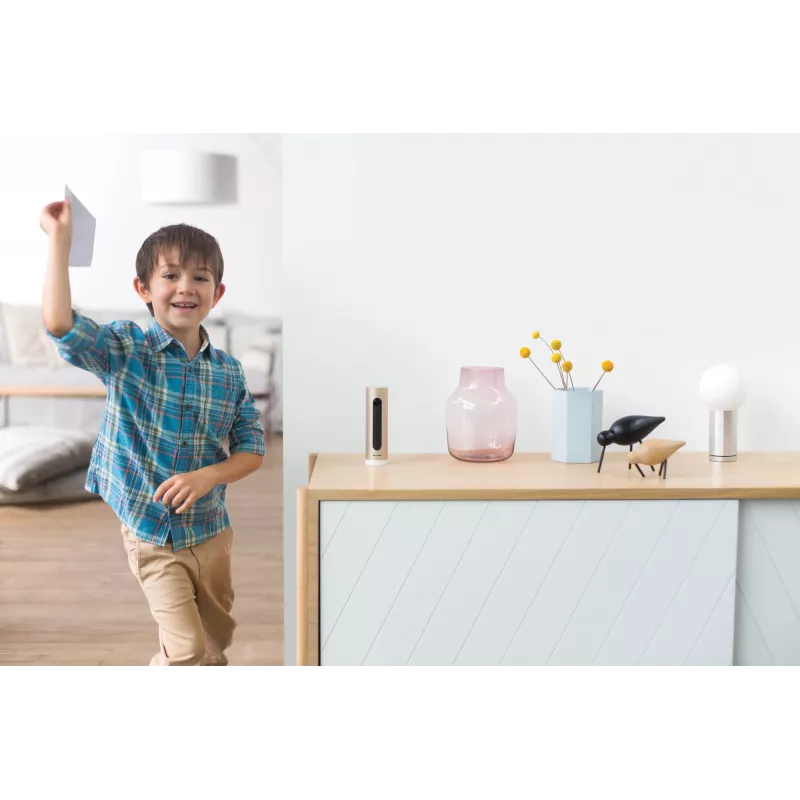 Netatmo Welcome IP apsaugos kamera Vidaus 1920 x 1080 pikselių Stalas