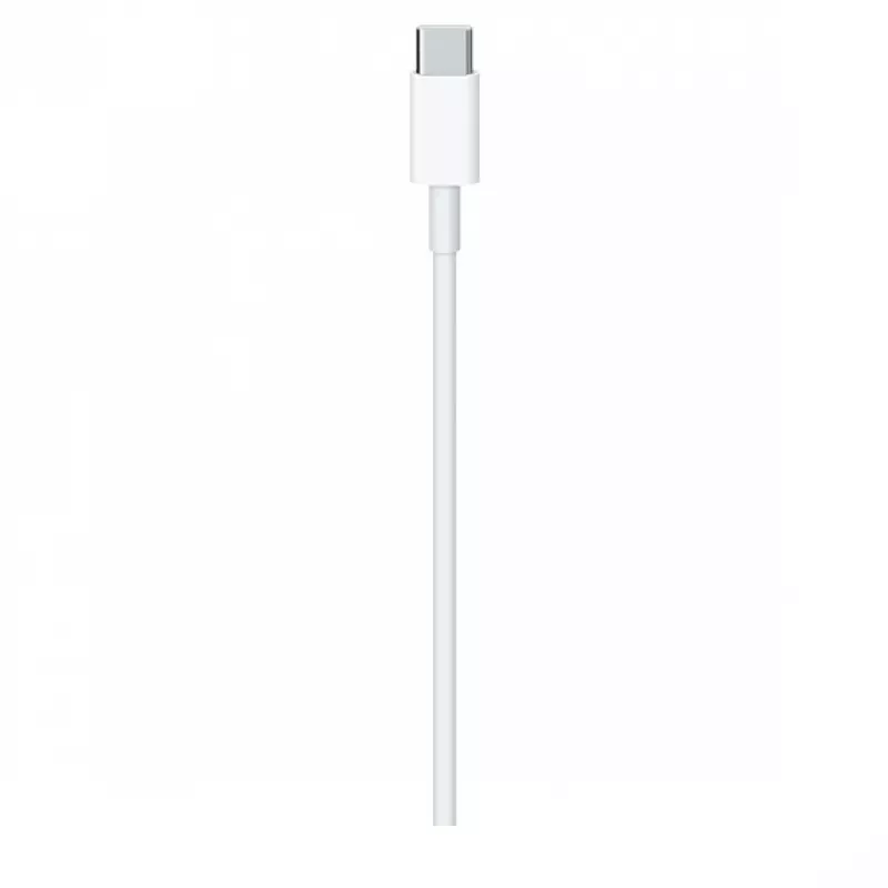 USB-C įkrovimo laidas Apple MLL82ZM/A 2 m