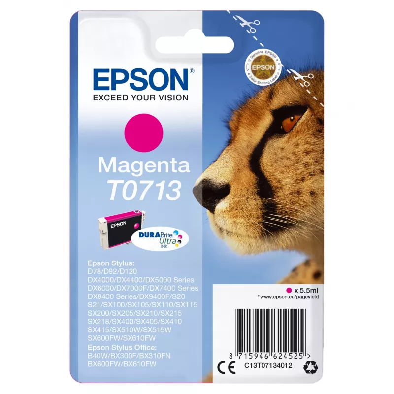 Epson Singlepack Purpurinė T0713 DURABrite Ultra rašalas