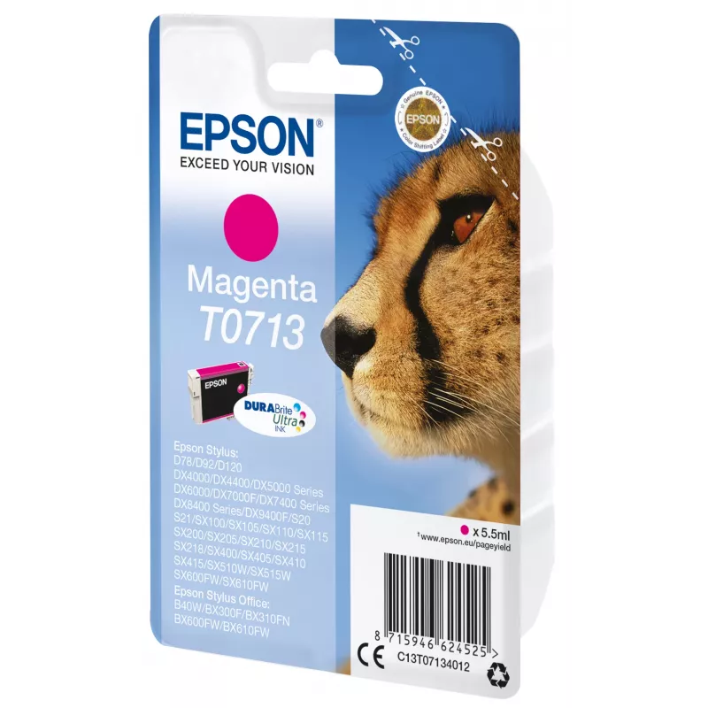 Epson Singlepack Purpurinė T0713 DURABrite Ultra rašalas