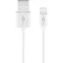 Goobay Lightning USB įkrovimo ir sinchronizavimo kabelis 2 m Lightning USB A
