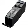 Canon PGI-580BK Pigmentinio juodo rašalo kasetė