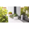 Netatmo NWS01-EC skaitmeninė orų stotelė, aliuminis, baterija/USB, Wi-Fi