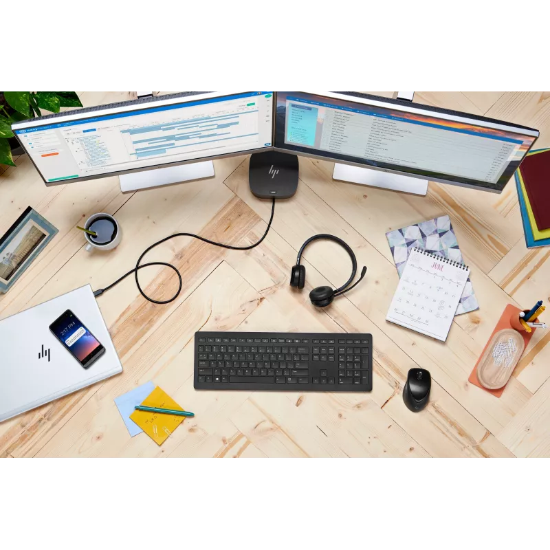 HP belaidė premium pelė, simetrinė, lazerinė, RF belaidė, 1200 DPI, juoda