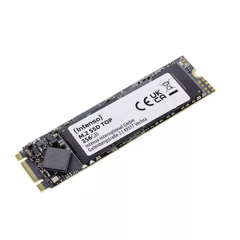 SSD diskas Intenso Top 256 GB M.2 Serial ATA III