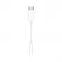 USB-C į 3,5 mm ausinių lizdo adapteris Apple 190198886866