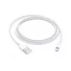 APPLE USB-a į Ligthning kabelis 1 m (mxly2zm/a)