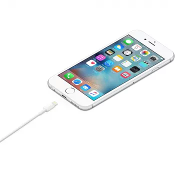 APPLE USB-a į Ligthning kabelis 1 m (mxly2zm/a)