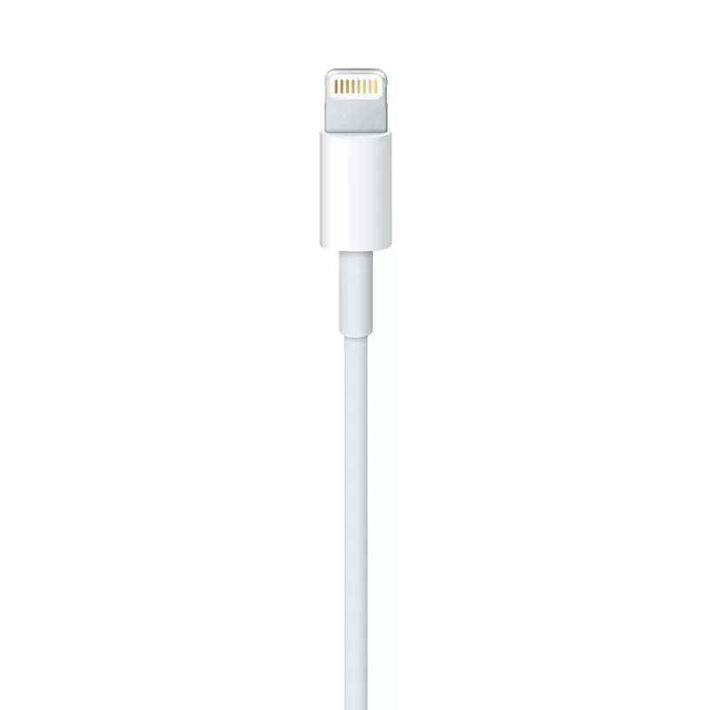 APPLE USB-a į Ligthning kabelis 1 m (mxly2zm/a)