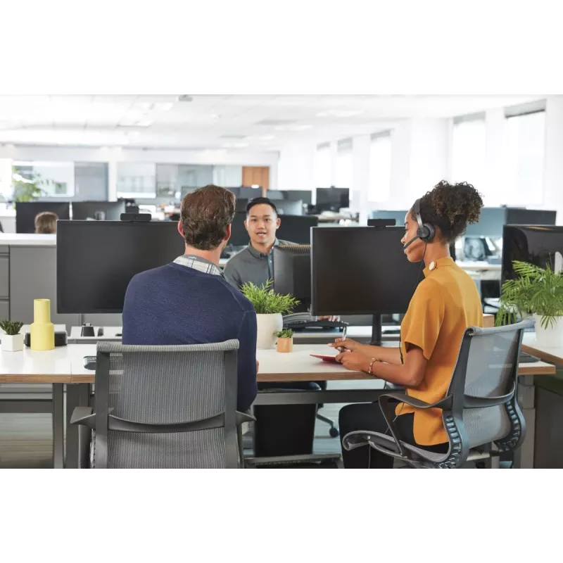 LOGITECH Zone Wired - USB-C / USB-A - Ausinės - UC Zone - Juoda