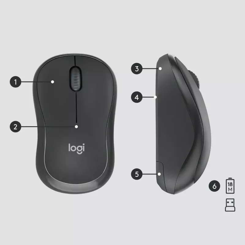 Logitech MK295 Silent Wireless Combo klaviatūra RF Belaidė QWERTY US International Juoda