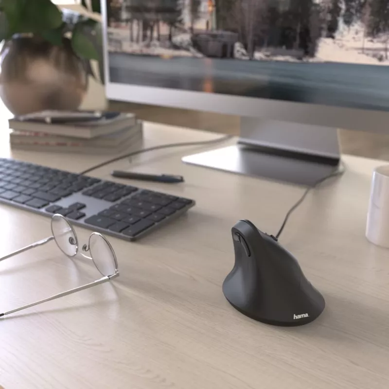 Hama EMC-500 pelė Biuro Dešiniarankiams USB Type-A Optinė 1800 DPI