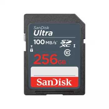 Flash atmintis SanDisk 256 GB SDXC UHS-I Class 10 SDSDUNR-256G-GN3IN