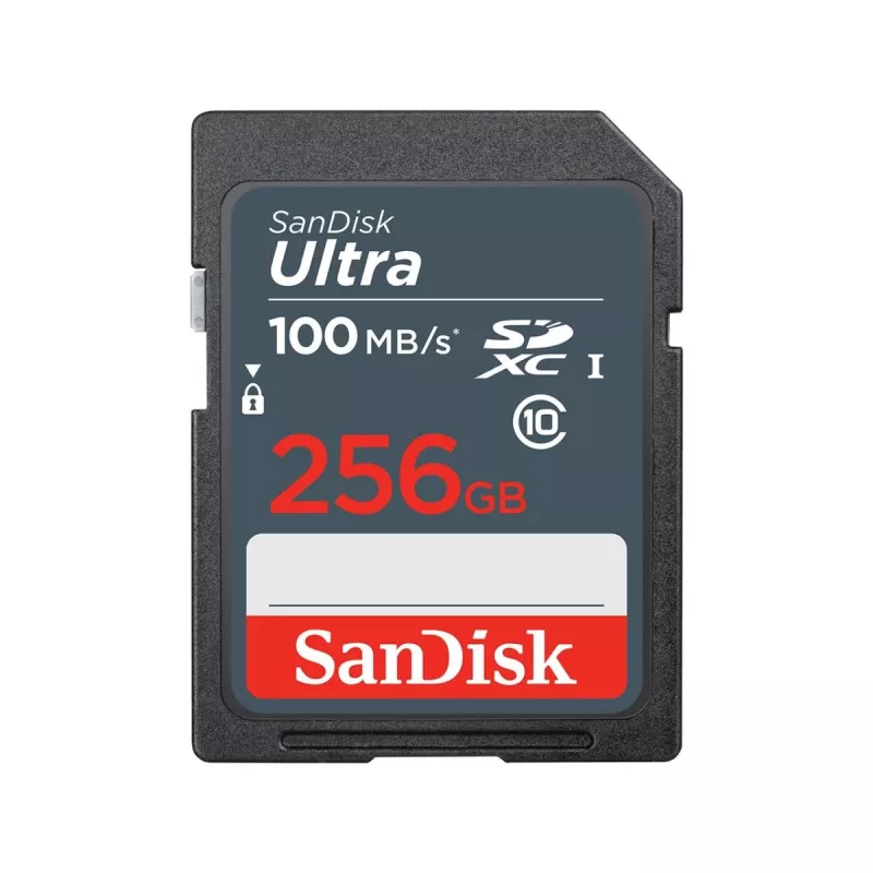 Flash atmintis SanDisk 256 GB SDXC UHS-I Class 10 SDSDUNR-256G-GN3IN