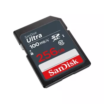 Flash atmintis SanDisk 256 GB SDXC UHS-I Class 10 SDSDUNR-256G-GN3IN