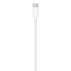 APPLE USB-c į Lightning kabelis 1m - Bendrinis