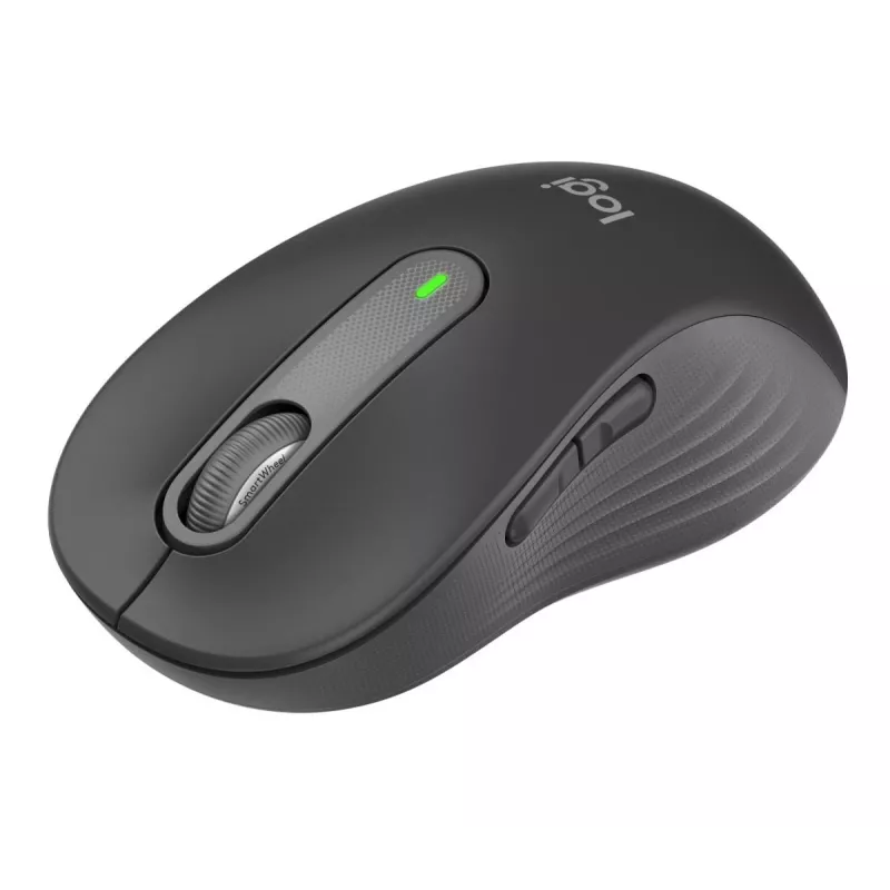 Pelė Logitech Signature M650 L RF Wireless + Bluetooth