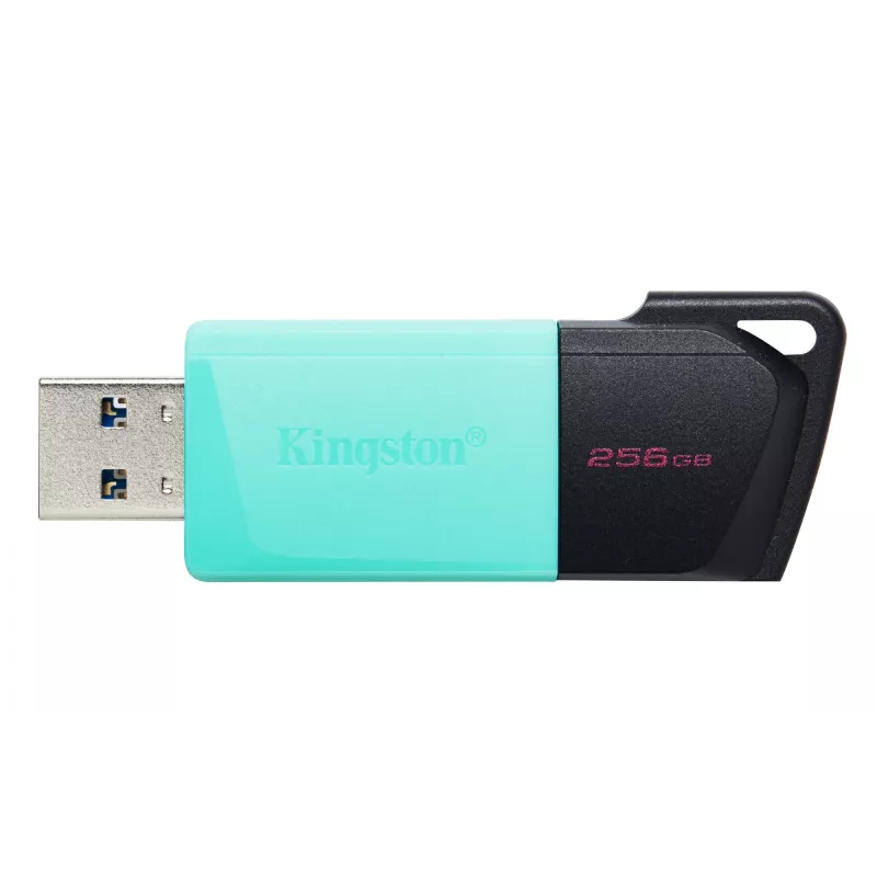 Kingston Technology DataTraveler 256GB USB3.2 Gen1 Exodia M (juoda + žalsvai mėlyna)