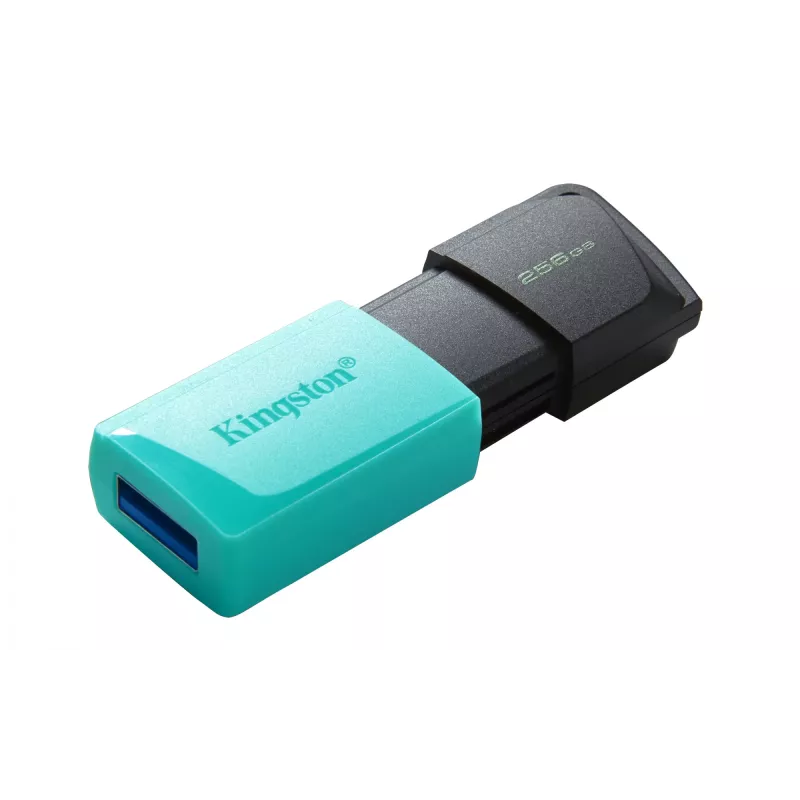 Kingston Technology DataTraveler 256GB USB3.2 Gen1 Exodia M (juoda + žalsvai mėlyna)