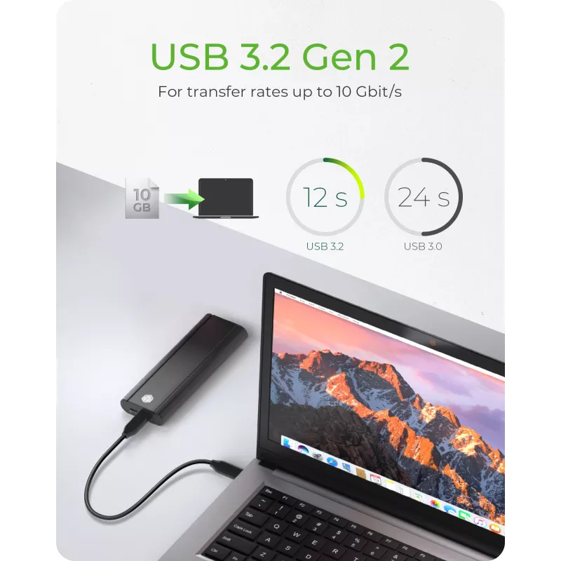 ICY Dėžutė IB-1807MT-C31 SSD dėklas Juodas M.2